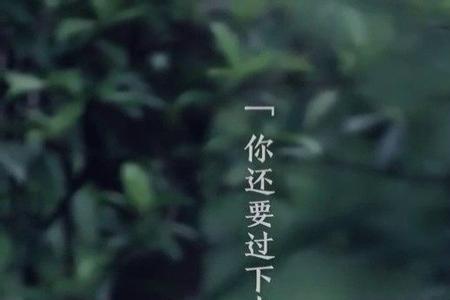 过往好听的意思