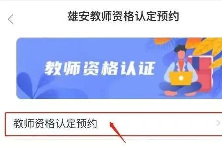 教师资格证两科什么意思