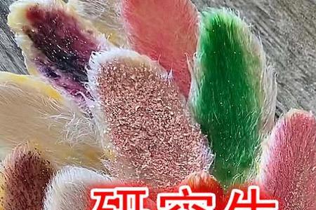 芒果核发卡能用502胶水吗
