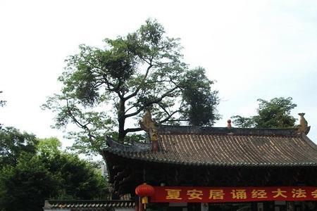 光孝寺正门是哪个门