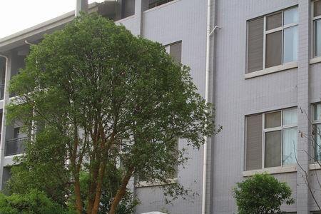 浙光中学校训
