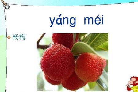 什么叫植物音节