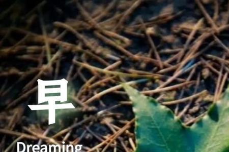 回复早安的诗句