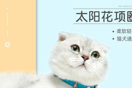 为什么公猫咪的铃铛那么可爱