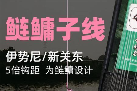 新关东05相当于几号伊势尼