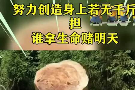 家有千斤担的下一句是什么