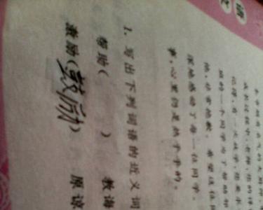 广组三个词