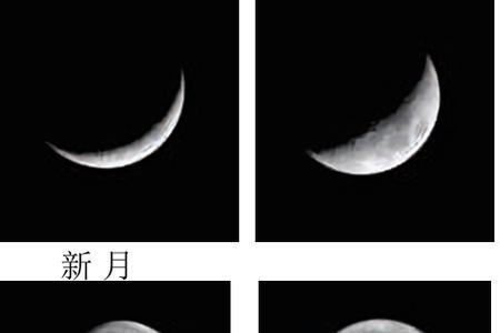 农历12是什么月相
