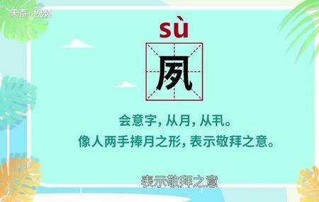 宿愿哪个字错了