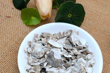 海螵蛸和生牡蛎区别