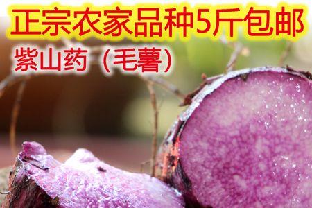优薯一号种子哪里有卖的