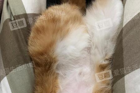 粘毛贴拔毛后毛还会长吗