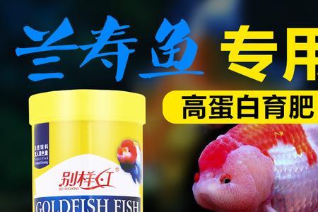 金鱼最爱吃的十种饲料