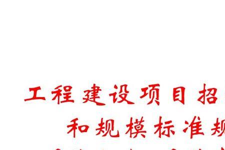 中型项目规模标准