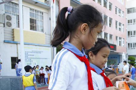 深圳罗芳小学是名校吗