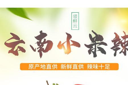 小米辣品种介绍
