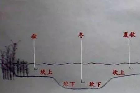 出水口钓鱼选上口还是下口