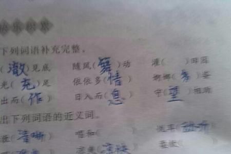 没有理会近义词