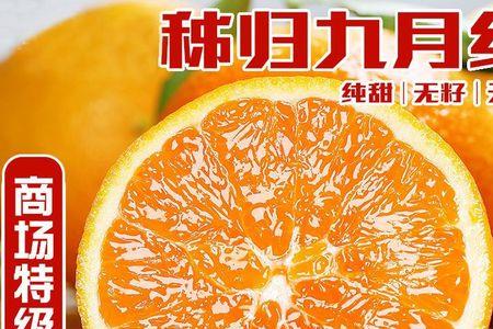 湖北九月能割蜜吗