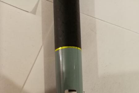 名伦鲮和名伦鲢区别