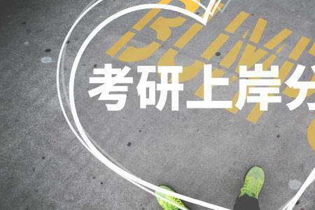 公司上岸是什么意思
