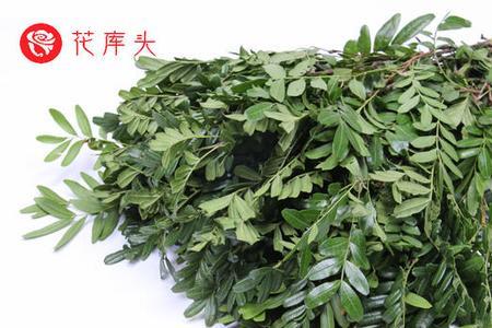 清香木的根是什么颜色