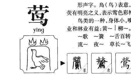 艳的谐音字