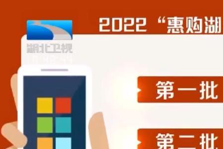 湖北体育消费券可以买鞋吗
