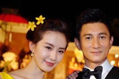 50岁吴奇隆几个孩子