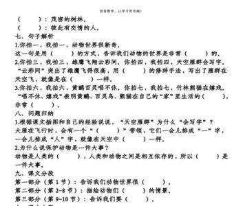 队员什么填空