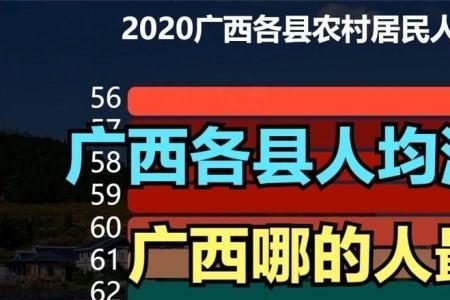 农村消费排名第一的商品