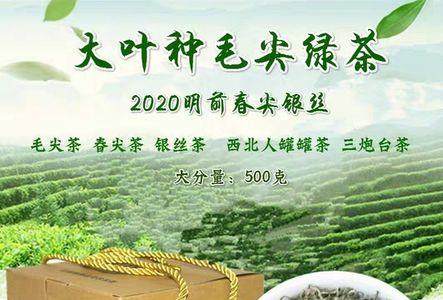 春尖茶的保质期是多久