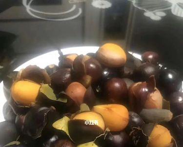 九层皮可以炖羊肉吗