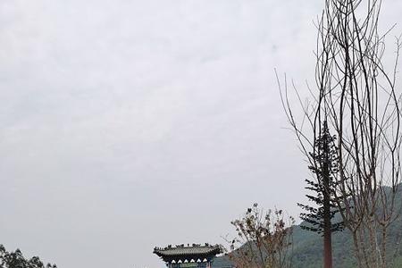 豪爵ufr125和铃木uy125哪个好