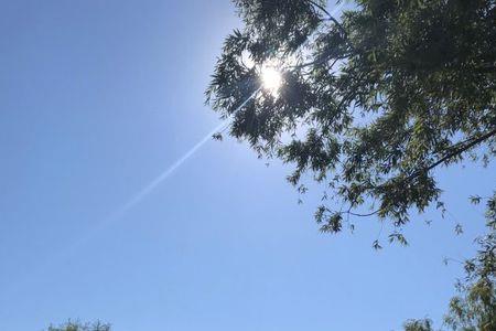 奥林匹克公园停车场时间