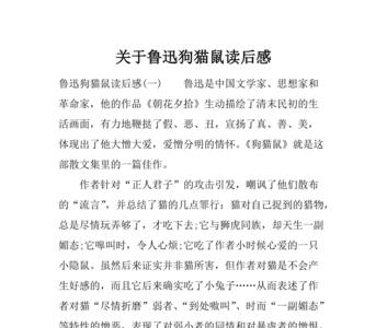 最受欢迎的小猫读后感怎么写