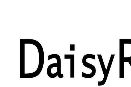 黛西daisy什么公司