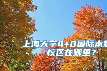 上海大学悉尼科技学院好考吗