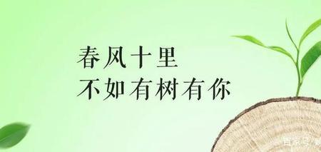 双林不成林猜字