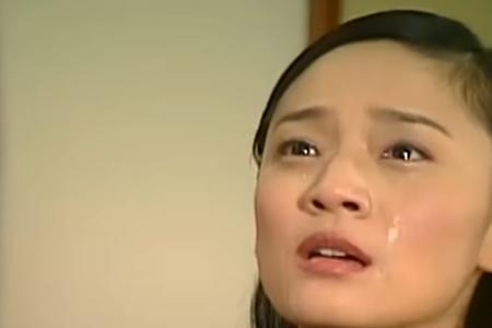 海豚湾恋人珊妮妈妈扮演者