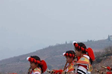 纳雍山歌这首歌表达什么意思