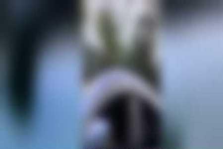 囊中羞涩怎敢误佳人下一句