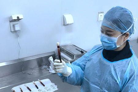 律师和法医区别