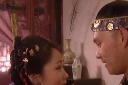雍正王朝之后是什么电视剧