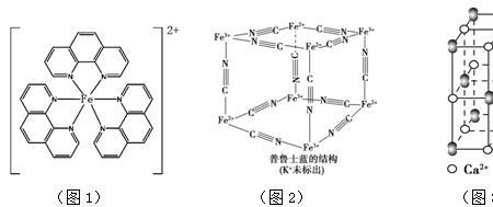 -cocl是什么基团
