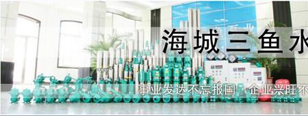 格兰富和三鱼水泵哪个好