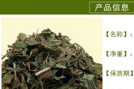 凤凰草和凤尾草一样吗