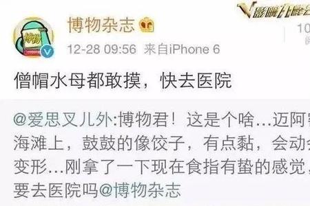水母粉夏天效果怎么样