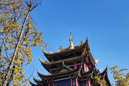 鸿恩寺森林公园几点关灯
