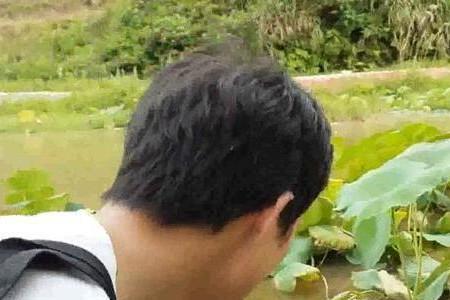 地笼里黄鳝为什么会死